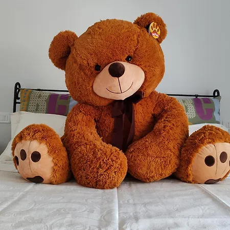 33 Joy Dreams Sandrà