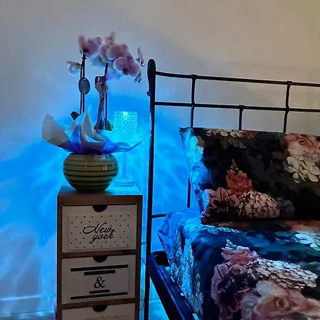 33 Joy Dreams Сандра